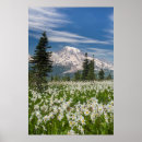 Search for avalanche posters Blue