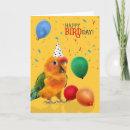 Search for parrot birthday Birds