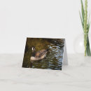 Search for canadian wildlife cards Photography