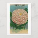 Search for packet postcards Vintage