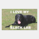 Search for black lab stickers Pets