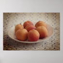 Search for apricot posters Fruit