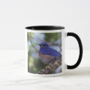 Search for westmorland mugs Bird