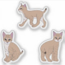 Search for wildcats stickers Jungle