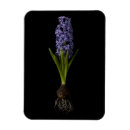 Search for easter rectangular magnets Purple