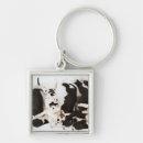 Search for great dane puppy key rings Dogs