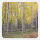 Search for aspen stickers Leaves
