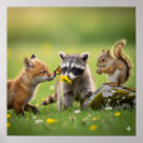 Search for adorable fox posters Baby animals