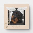 Search for rottweiler angel Memorial