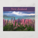 Search for new zealand landscape postcards Flowers