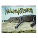 Search for alligator calendars Florida