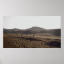 Search for caravan posters Camels