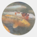 Search for carp photography Pond