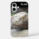 Search for dragon photography Dragons