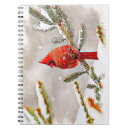 Search for cardinal notebooks Songbird
