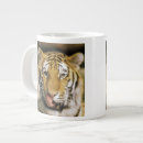 Search for tiger eye mugs Animal