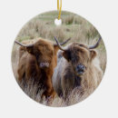 Search for scottish highland cow christmas tree decorations Bull