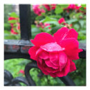 Search for raindrop art Flower