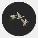 Search for mallard ducks stickers Country