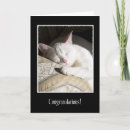 Search for adopted cat cards Pet