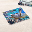 Search for hawaii coasters Nautical