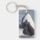 Search for predator key rings Ocean