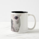 Search for old looking mugs Nature