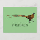 Search for pheasant postcards Bird