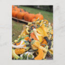 Search for fall bounty Harvest