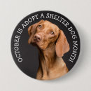 Search for dog adoption badges Shelter