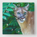 Search for jungle clocks Wildlife