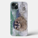 Search for baby seals electronics Ocean