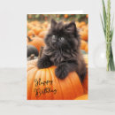Search for pumpkin birthday cards Cute
