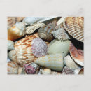 Search for stamp collector postcards Hobby