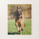 Search for german shepherd puzzles Park