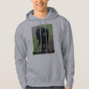 Search for newfoundland hoodies Best