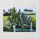 Search for mexico postcards Cactus