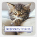 Search for cat joke stickers Animal