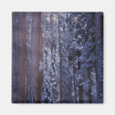 Search for sequoia national park magnets Usa