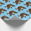 Search for duck billed Illustration