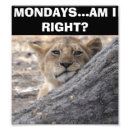 Search for safari posters Lion cub