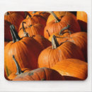 Search for pumpkin mousepads Orange