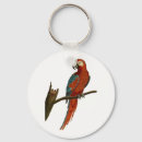 Search for bird wings key rings Parrot