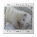 Search for parent tiles Animal