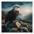 Search for eagle posters Landscape