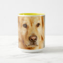 Search for pet sitting mugs Golden retriever