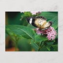 Search for green leopard postcards Nature