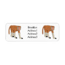 Search for monkey return address labels Cartoon
