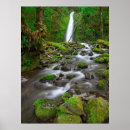 Search for columbia gorge posters Moss