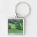 Search for lush key rings Field